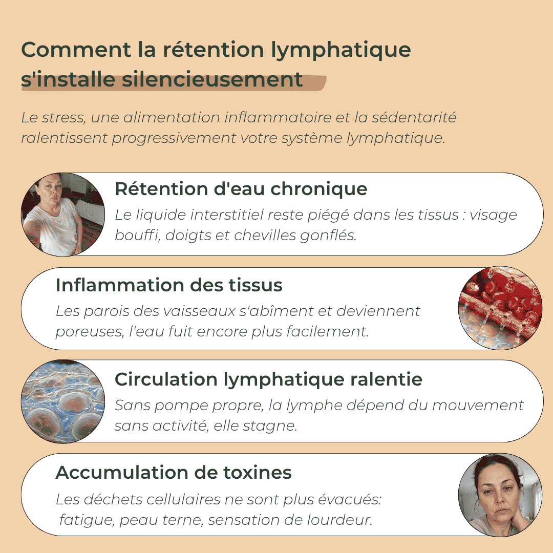 Drainant Lymphatique Naturel - Orvya
