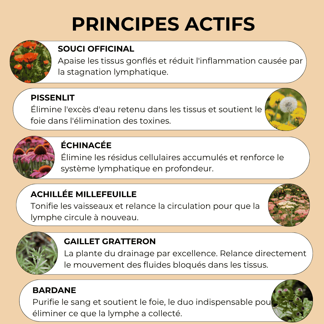 Drainant Lymphatique Naturel - Orvya