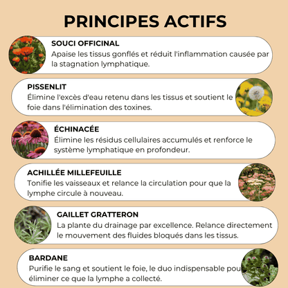 Drainant Lymphatique Naturel - Orvya